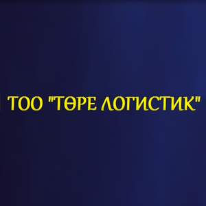 ТОО «Торе Логистик» logo